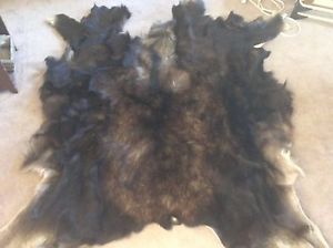 TANNED MOOSE HIDE/TAXIDERMY/ANIMAL HAIR/NATIVE AMERICAN/RENDEZVOUS/TANNED FUR