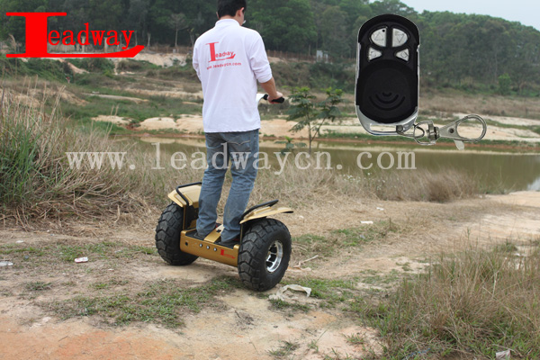 LeadwayMotor power 2400W 1000w electric scooter evo off road ( RM09D-850)