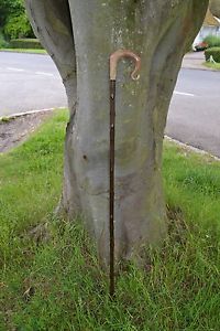 Walking Sticks - Ram's Horn Shepherds Crook.