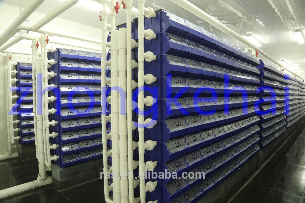 crab house, recirculating aquaculture system