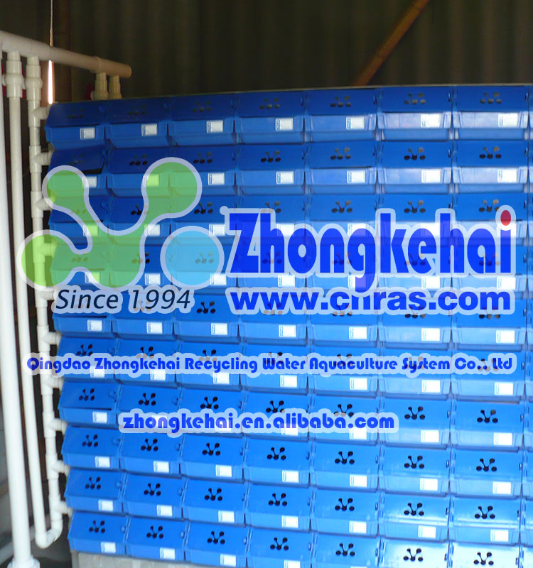 Indoor fish farming equipment for crab