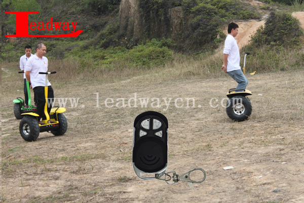 Leadway2400W The tire: 19Motor power 2400W6 groups gyroscope scooter+avec+toit off road ( RM09D-T728)