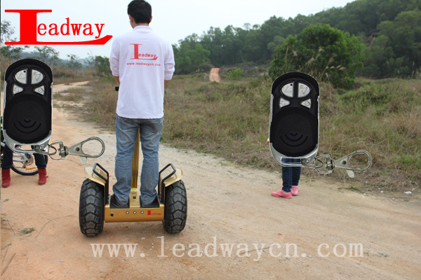 Leadway 6 LED lights The tire: 19 Motor power The tire:19 off road kick scooters for sale ( RM09D-T1320)