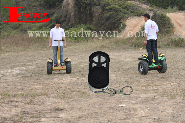 Leadwaywith remote control Motor power 2400W off road jet scooters(RM09D-T1485)