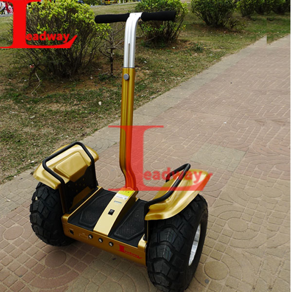 Leadway Used in snow, Mud, sand, rain, hillside off road food delivery scooter(RM09D-T1600)