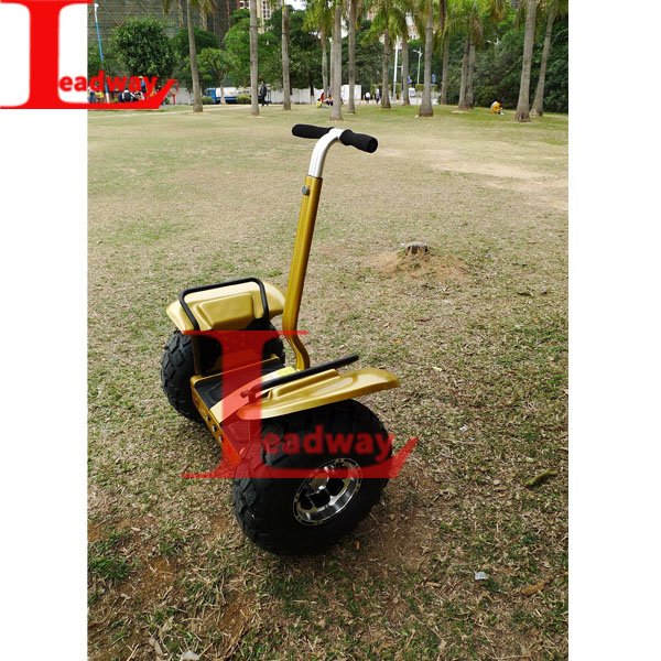 Leadway Motor power 2400W The tire 19 off road tri scooter(RM09D-T1656)