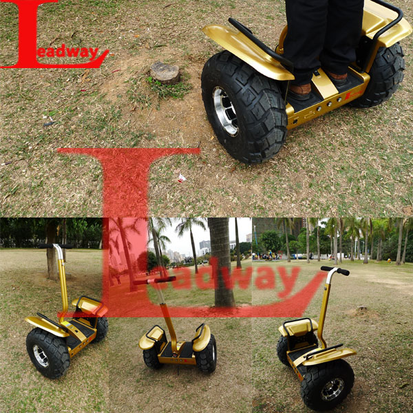 Leadway19 wheel and Max support 200kg off road elektro scooter(RM09D-T1743)