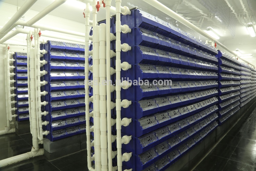 crab culturing boxes/crab box/crab box/crab house