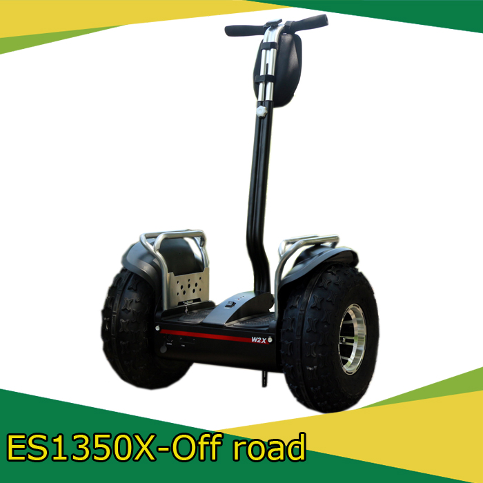 19inch Big Golf scooter wholesale 2 wheel foot electric scooter with certificate