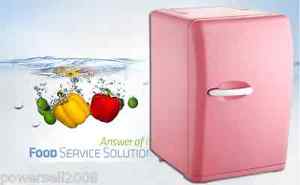 ！Portable Pink 16L Car Home Multi-purpose Mini Refrigerator Thermal Container