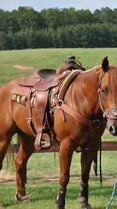 Custom Bruce Cheaney Roping Saddle.