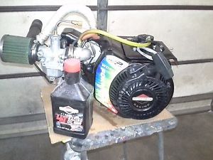 Briggs and stratton World Formula Kart engine