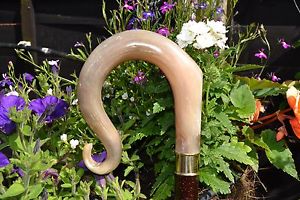 Walking Sticks - Ram's Horn Shepherds Crook.