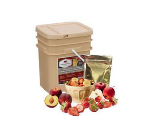 120 Serving Wise Fruit Bucket