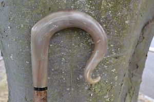 Walking Sticks - Ram's Horn Shepherds Crook.