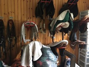 misc horse tack and riding equipment