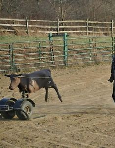 Heel O Matic Roping Dummy Sled