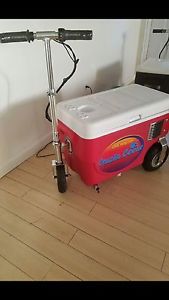 CRUZIN COOLER 1000w ELECTRIC SCOOTER COOLER BIKE RIDE ON TAILGATING red "new"