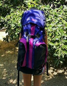 Vintage The North Face Hiking Camping Backpack With Internal Frame Regular Size