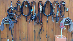 Team Dress Harness,biothane/synthetic,collars hames traces saddles dress bridles