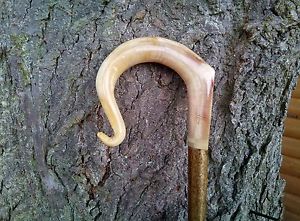 Walking Sticks - Rams Horn Shepherds Crook.