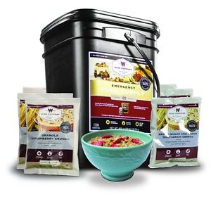 Wise Co. Breakfast - 120 Servings – Long-Term, Dehydrated, Emergency Food, MRE