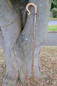 Walking Sticks - Ram's Horn Shepherds Crook.