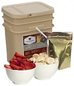 Wise Company Freeze Dried Fruit And Gourmet Snack Combination-120 Servings