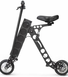 URB-E Black Label Electric Scooter With Pelican 1780T Case