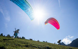 NEW NOVA PRION 3 PARAGLIDER's