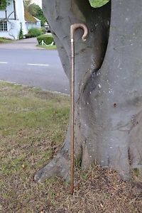 Walking Sticks - Ram's Horn Shepherds Crook.