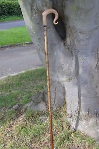 Walking Sticks - Ram's Horn Shepherds Crook.