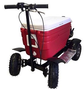 Crazy Coolers -WEEKEND SPECIAL- cooler scooters