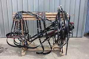 Amish made beta - biothane draft horse team show harness RED DECORATION