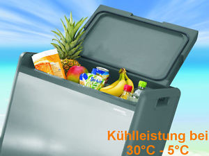 CAMPING KÜHLBOX caja del refrigerador de bebidas Mini nevera 39L 12V+230V+Gas