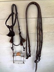 BEAUTIFUL VINTAGE SILVER BIT. BRAIDED HORSEHAIR HEADSTALL & ROMEL REINS