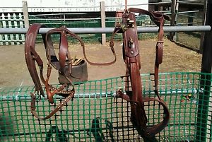 Russet Brown Leather Horse Driving Harness with Brass Hardware