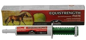 EQUISTRENGTH Pyrantel Paste Strongid Horse Wormer Parasite Equine