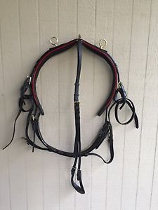 Walsh Show Harness