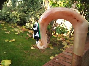 Walking Sticks - Rams Horn Shepherds Crook with sheepdog carving..