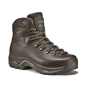 Asolo Men's TPS 520 GV EVO Chestnut Boot 6 D (M)