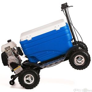 Crazy Coolers -Black Friday Special- cooler scooters, Riding Coolers, Motorized