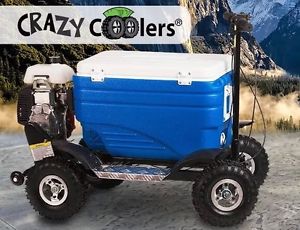 Crazy Coolers - Holiday Season - cooler scooters, Riding Coolers, Motorized