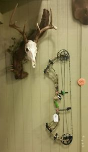 PSE Archery Bow Madness 34 Compound Bow