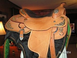 Custom Silver Mesa Silver Show Saddle Set YOUTH