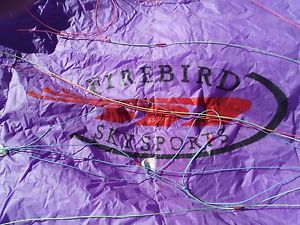 Firebird Sport Paraglider L with Harness