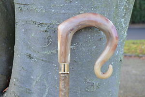 Walking Sticks - Ram's Horn Shepherds Crook.