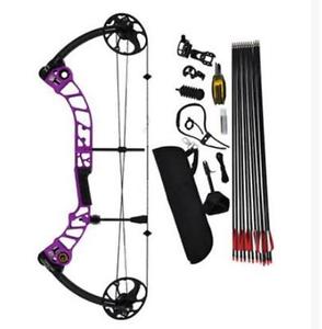 Purple Compound Bow Right Hand Outdoor Hunting Bow Archery Set Sights 19-70lbs