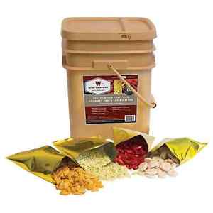 Wise Company Freeze Dried Fruit and Snack Combo Bucket - 120 Servings