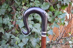 Walking Sticks - Buffalo Horn Shepherds Crook.